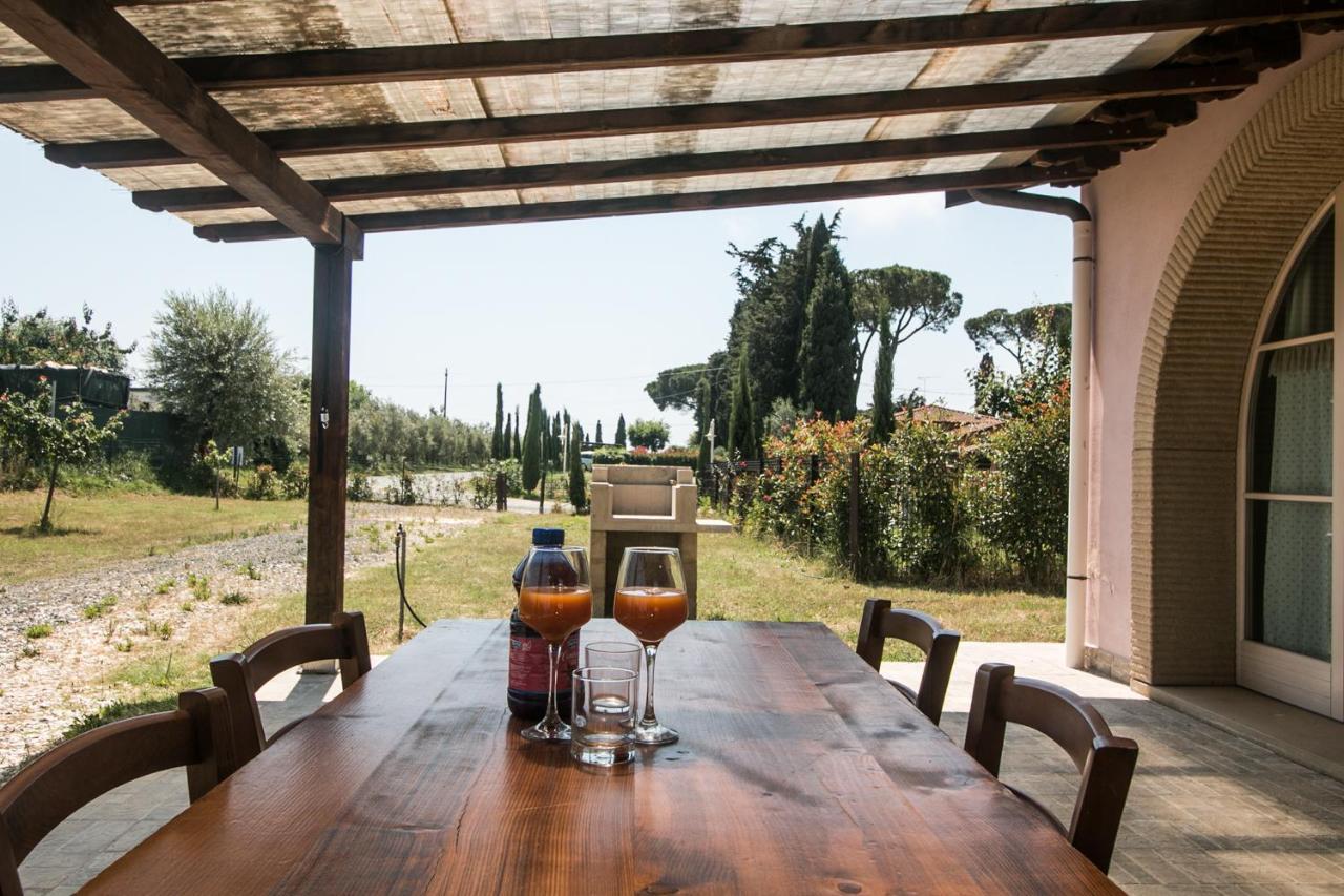 Fattoria Palazzeta - Pet & Family Friendly Aparthotel Cecina  Eksteriør bilde