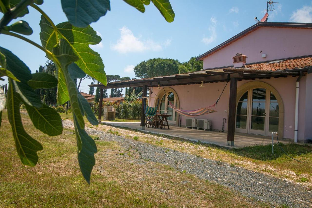 Fattoria Palazzeta - Pet & Family Friendly Aparthotel Cecina  Eksteriør bilde