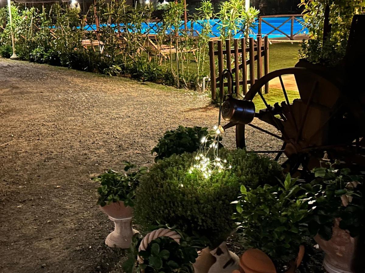 Fattoria Palazzeta - Pet & Family Friendly Aparthotel Cecina  Eksteriør bilde