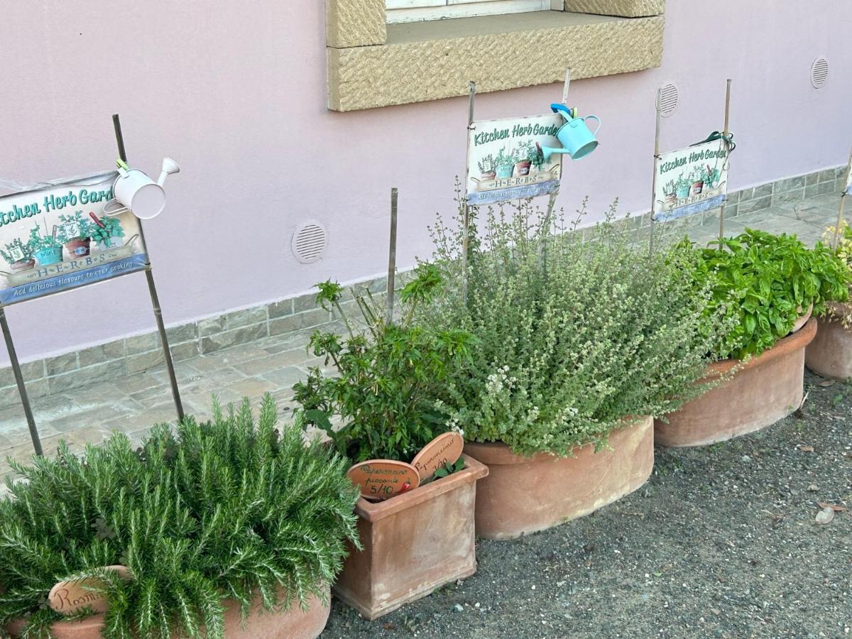 Fattoria Palazzeta - Pet & Family Friendly Aparthotel Cecina  Eksteriør bilde