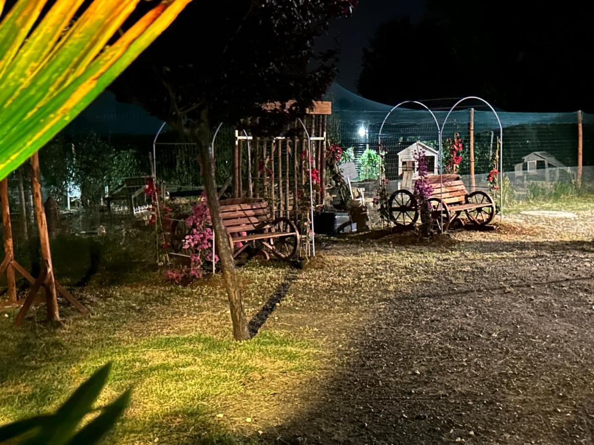 Fattoria Palazzeta - Pet & Family Friendly Aparthotel Cecina  Eksteriør bilde