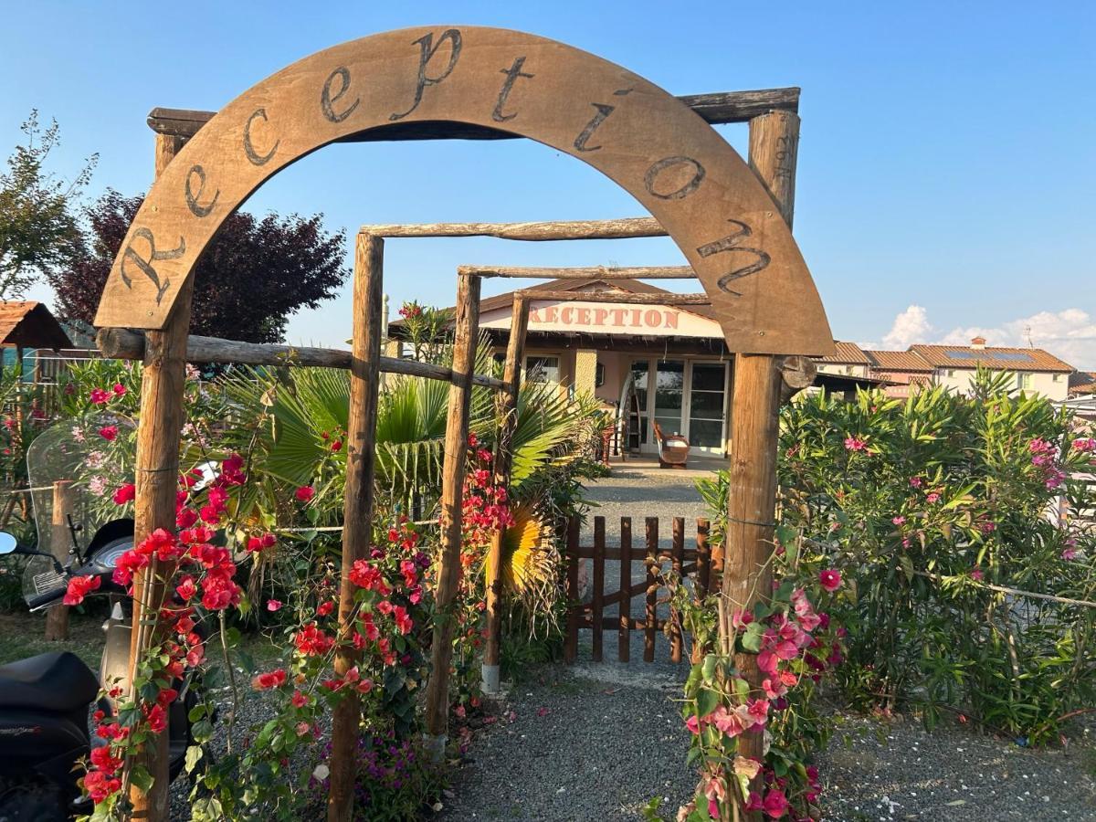 Fattoria Palazzeta - Pet & Family Friendly Aparthotel Cecina  Eksteriør bilde